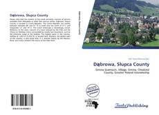 Capa do livro de Dąbrowa, Słupca County 