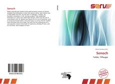 Bookcover of Senoch