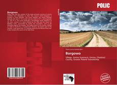 Bookcover of Borgowo