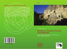 Capa do livro de Brodnica, Greater Poland Voivodeship 