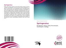 Springeratus kitap kapağı