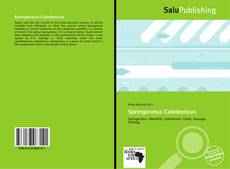 Bookcover of Springeratus Caledonicus