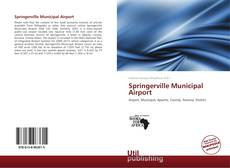 Springerville Municipal Airport kitap kapağı