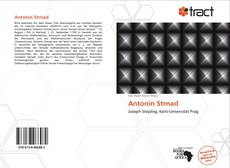 Portada del libro de Antonín Strnad