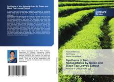 Copertina di Synthesis of Iron Nanoparticles by Green and Black Tea Leaves Extract