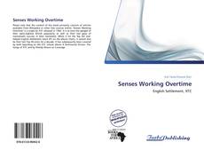 Capa do livro de Senses Working Overtime 