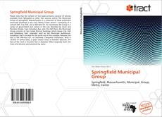 Copertina di Springfield Municipal Group