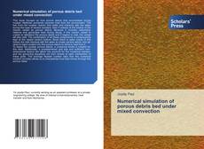 Bookcover of Numerical simulation of porous debris bed under mixed convection