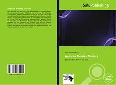 Couverture de António Montes Moreira