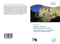 Bookcover of Dębicz, Środa Wielkopolska County