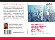 Capa do livro de Hundimientos Diferenciales en Edificaciones. Inyección Consolidación 