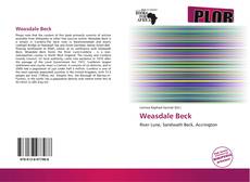 Buchcover von Weasdale Beck