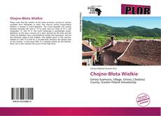 Bookcover of Chojno-Błota Wielkie