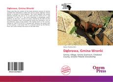 Portada del libro de Dąbrowa, Gmina Wronki