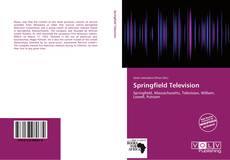 Bookcover of Springfield Television