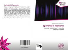 Portada del libro de Springfield, Tasmania