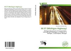 Buchcover von M-37 (Michigan Highway)