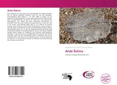 Bookcover of Anže Šetina