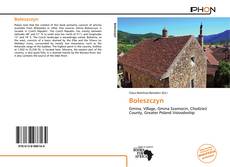 Bookcover of Boleszczyn