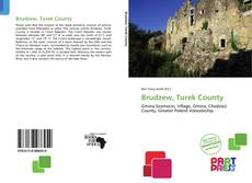 Copertina di Brudzew, Turek County