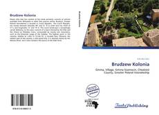 Capa do livro de Brudzew Kolonia 