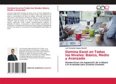 Couverture de Domina Excel en Todos los Niveles: Básico, Medio y Avanzado
