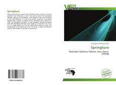 Portada del libro de Springhare