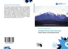 Bookcover of Aníbal Pinto Garmendia