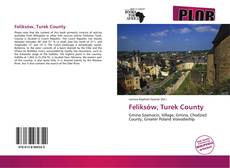 Bookcover of Feliksów, Turek County