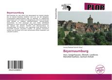 Couverture de Beyernaumburg