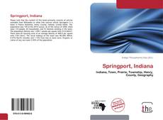 Capa do livro de Springport, Indiana 