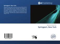 Обложка Springport, New York