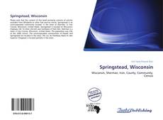 Capa do livro de Springstead, Wisconsin 