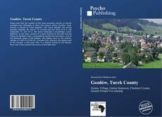 Buchcover von Gozdów, Turek County