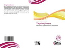 Capa do livro de Virgatanytarsus 