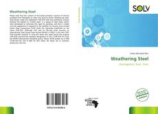 Bookcover of Weathering Steel