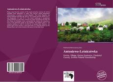 Portada del libro de Antoniewo-Leśniczówka