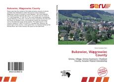 Bukowiec, Wągrowiec County的封面