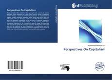 Perspectives On Capitalism kitap kapağı