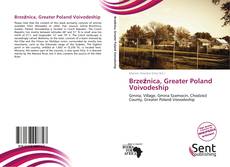 Capa do livro de Brzeźnica, Greater Poland Voivodeship 