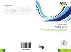Bookcover of Virgin Cove