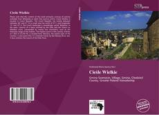 Portada del libro de Cieśle Wielkie