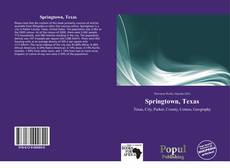 Capa do livro de Springtown, Texas 