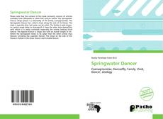 Обложка Springwater Dancer