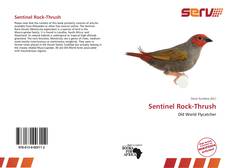 Sentinel Rock-Thrush的封面