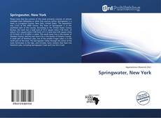 Portada del libro de Springwater, New York