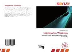 Bookcover of Springwater, Wisconsin