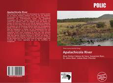 Bookcover of Apalachicola River