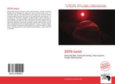 Capa do livro de 2076 Levin 