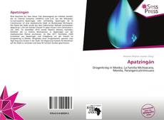 Portada del libro de Apatzingán